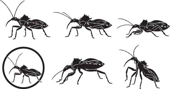 Giant Assassin Bug Silhouette Icon Set Black Vector Predatory Insect Collection