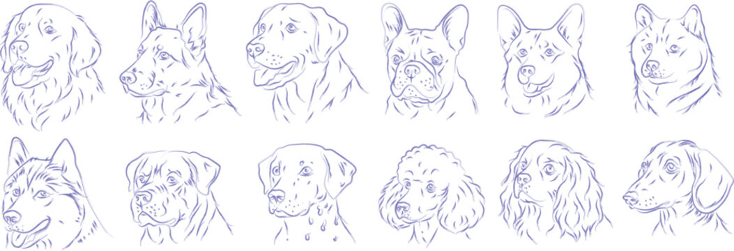 Hand drawn dog breed portrait set in blue pen sketch style