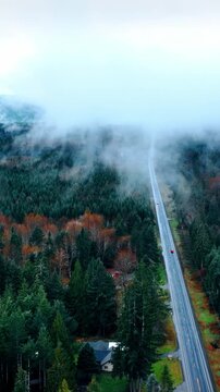 Two-lane highway crossing the vast evergreen pine-tree woods. Scenic view of Mount Rainer National Park, Washington State, the USA from top view. Vertical video