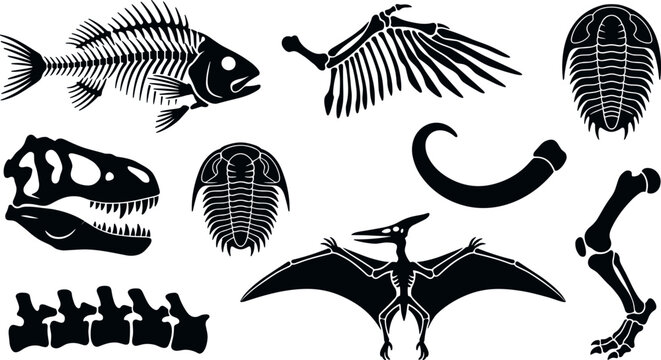 Prehistoric Dinosaur Fossil and Animal Skeleton Silhouette Set with Pterodactyl Fish Bone T Rex Skull Trilobite and Vertebrae Vector Icons