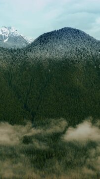Beautiful green mountain overgrown with evergreen forests. White mist is at the foot of the mount. Aerial perspective on Mount Rainer National Park, Washington State, the USA. Vertical video