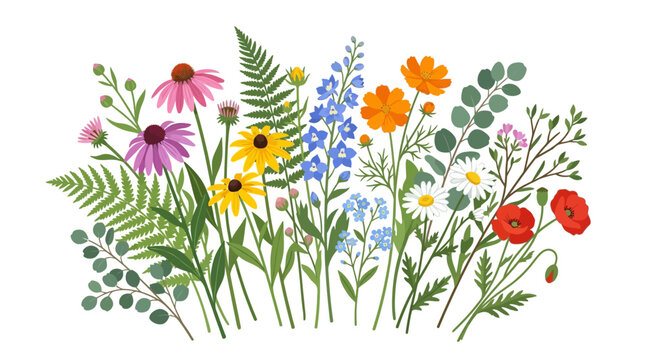 Vibrant Wildflower Meadow Bloom Collection - Botanical Illustration
