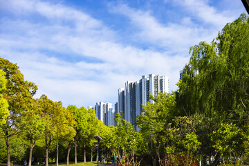 Urban Park with Modern High-Rise Buildings and Green Trees © LuuDieuThanh