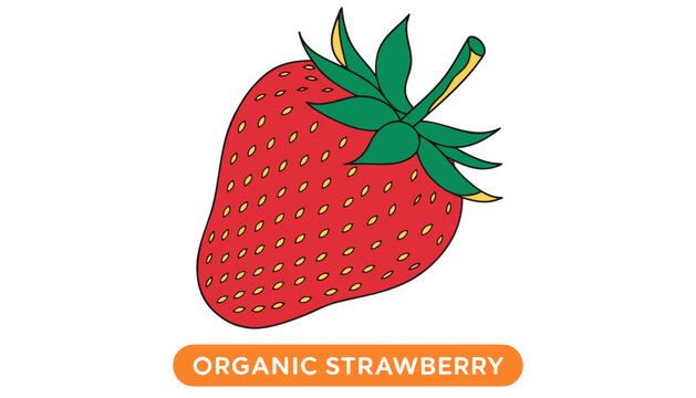 Very beautiful close-up realistic vector of an ORGANIC STRAWBERRY featuring juicy red texture, fresh farm-grown appearance, healthy nutrition appeal, and vibrant organic styling, isolated on white bac