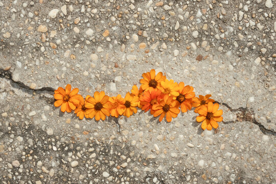 Flowers in crack urban concrete crack
