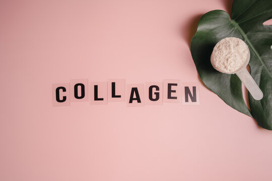 Collagen powder in a scoop, food supplement concept, with tropical leafe on pink background, wellness pink concept