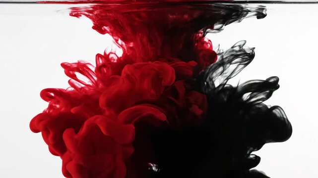 Color mixing in water with red and black ink on a white background showing movement and interaction at a close-up view