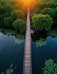 Obraz premium Wooden bridge crosses calm water with lily pads. Lush green trees surround tranquil pond at sunrise. Sun beams pierce canopy, creating serene, natural scene.