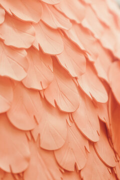 Close-up of the pink color of the wings of an ornamental bird.