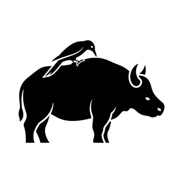Silhouette of a crow perched on a buffalo.