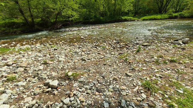 Gentle stream flows over smooth stones. Gradac River, Serbia