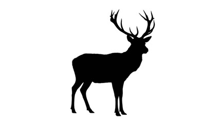 Fototapeta premium Black silhouette deer standing strong isolated on transparent background, Vector
