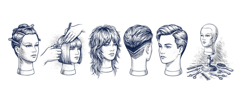 Haircut diagrams hairdressing tutorial illustrations in vintage engraving style showing mannequin heads with different hairstyles and styling tools for cosmetology education and salon branding design.