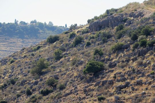mountains in the Galilee 
