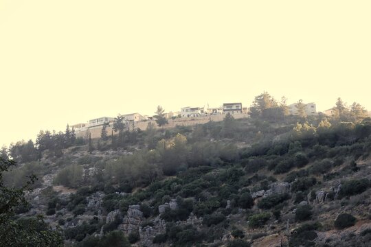 Evening in the Galilee mountains