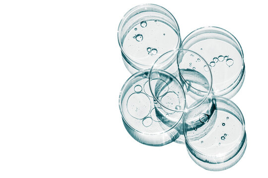 Petri Dishes with Blue Liquid and Bubbles Isolated on Transparent Background