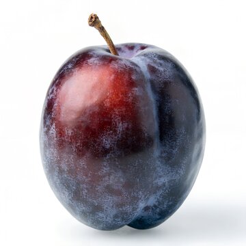 Ripe purple plum with stem isolated on white background, fresh organic damson fruit, sweet dark blue plum for healthy food concepts