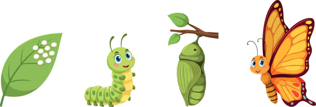 Butterfly Life Cycle Cartoon Vector Set Featuring Leaf with Eggs Cute Caterpillar Chrysalis Pupa and Monarch Butterfly Icons for Science Education Designs