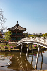 Fototapeta premium Korean pagoda in a pond in spring with a bridge in a park
