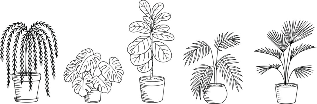 Potted houseplant line art vector set featuring monstera ficus palm and tropical indoor plants in ceramic pots