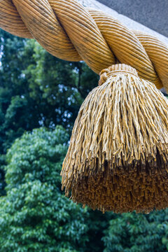 Sacred Shinto rope tassel close up