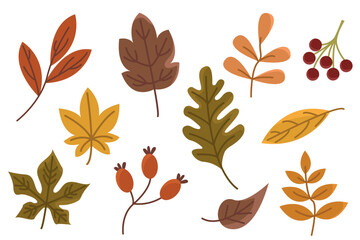Fototapeta premium Cozy Autumn Woodland Leaf Vector Set with Assorted Woodland Leaves, Botanical Sprigs, Berries and Hand Drawn Forest Clipart