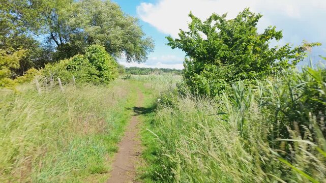 Ferry Meadows, Peterborough, England, UK - June 09 2026: Walking Point of View gimbal stabilised sequence walking out of a thicket, next to the river nene, and through a gate in rural countryside