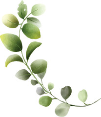 Obraz premium Watercolor illustration of green eucalyptus plant leaves and branches