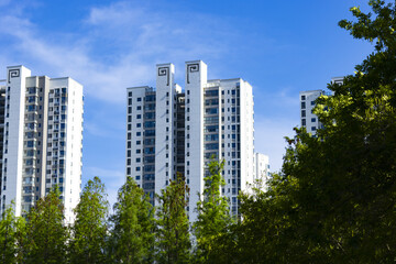 Modern residential high rise buildings above green trees under blue sky © PhungBao