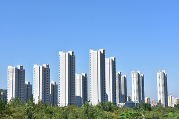 Modern Residential Apartment Towers Above Greenery Under Blue Sky © PhungBao
