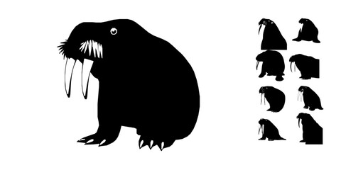 Walrus Silhouette © 99___Designer
