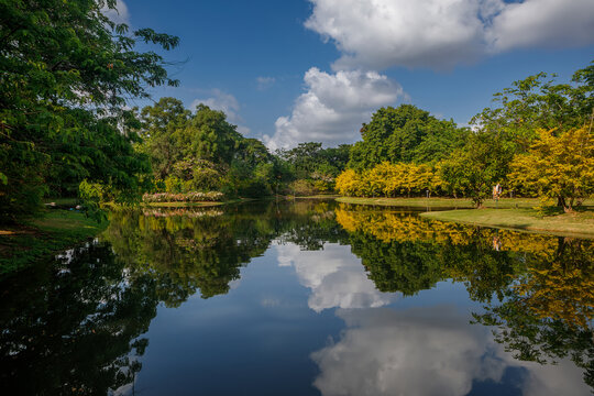 Beautiful city park lake landscape with fluffy clouds reflection in calm water surface