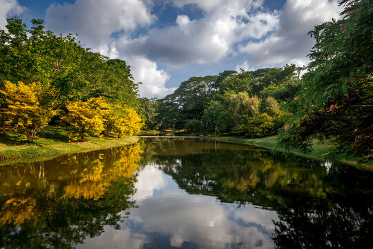 Beautiful city park lake landscape with fluffy clouds reflection in calm water surface