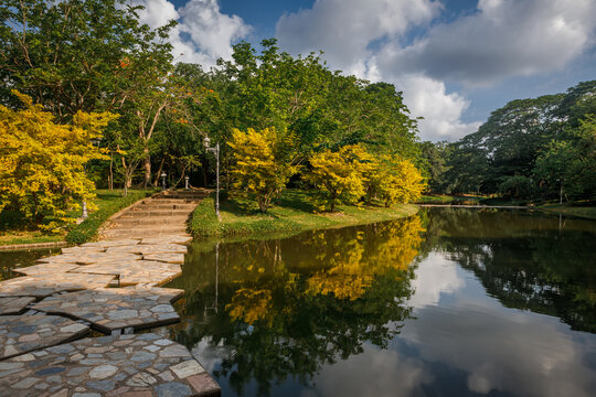 Beautiful city park lake landscape with fluffy clouds reflection in calm water surface