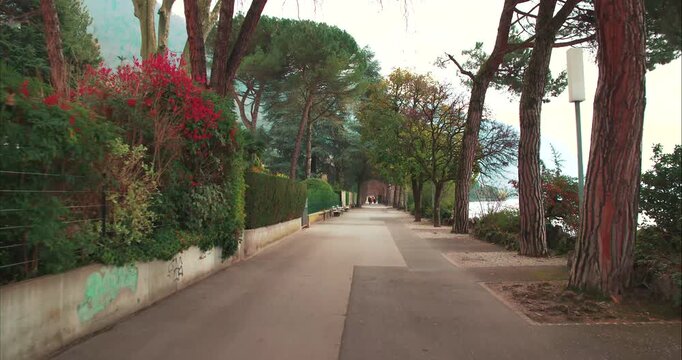 Tree Lined Road and Lakeside Promenade in Montreux Switzerland - Quiet lakeside road bordered by mature trees and colorful spring vegetation in Montreux, Switzerland. Scenic waterfront setting.