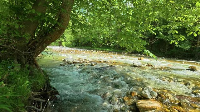 Clear stream rushes over smooth stones. Slowmotion. Gradac River, Serbia