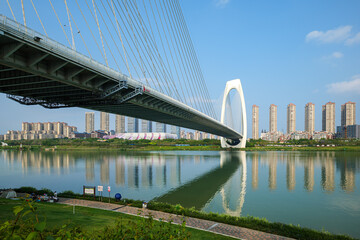 Fototapeta premium Nanning Cable-Stayed Bridge Over the Yongjiang River with City Skyline