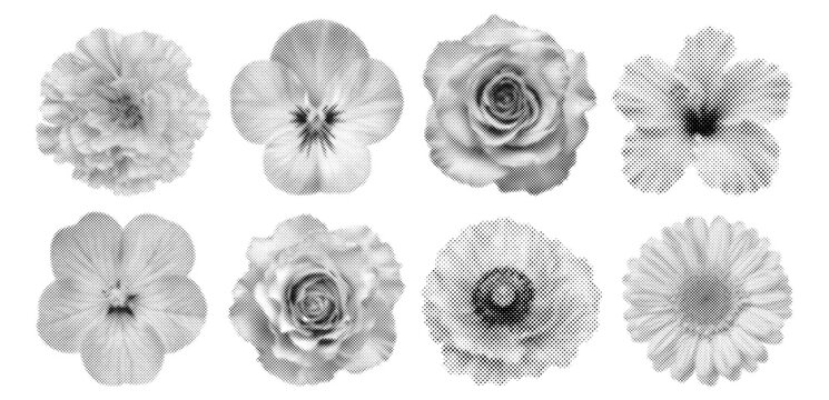 Halftone flower set with rose, gerbera, pansy, flax, marigold and poppy blossoms. Vintage dotted floral collection isolated on white background. Vector botanical elements.