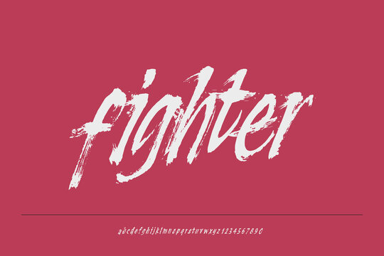Fighter : Aggressive brush script action font, perfect for combat sports posters, dynamic clothing branding, and energetic video game titles.