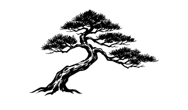 Japanese Pine Tree Ink Painting Vector Illustration in Traditional Sumi E Style