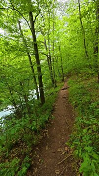 No people, no animals. Grza River Spring, Serbia. Vertical