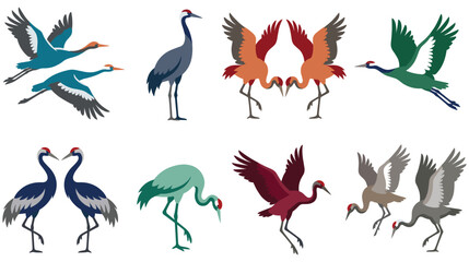 Fototapeta premium Set of graceful crane birds in different poses and colors for decoration.