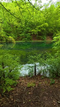 Lush green trees frame a serene. Grza River Spring, Serbia. Vertical