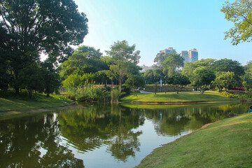 Fototapeta premium Serene Urban Park Lake with Trees and City Skyline