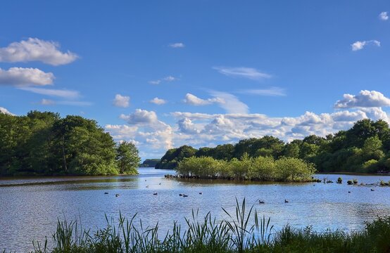 Tranquil lake with ducks swimming under blue sky