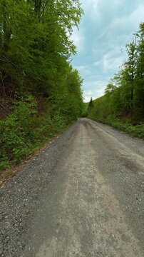 Dusty path winds through lush green trees. Grza River Spring, Serbia. Vertical