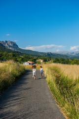 Obraz premium Children running on country road in provence mountains