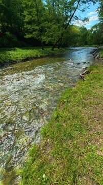 Lush trees frame sky with scattered clouds. Gradac River, Serbia. Vertical