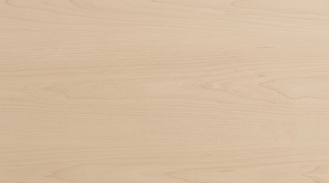 Light maple wood texture background, natural birch timber grain surface, smooth pale wooden board for interior design and furniture backdrop