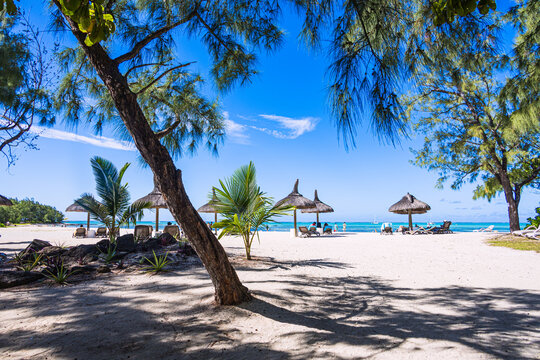 Excursion sur l'Ile aux Cerfs et ses plages de sable blanc, Ile Maurice, Trou d'Eau Douce, Oc&eacute;an Indien, Afrique